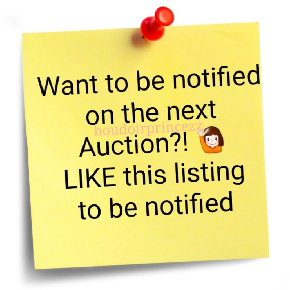 🙋‍♀️ Victoria's Secret Auction